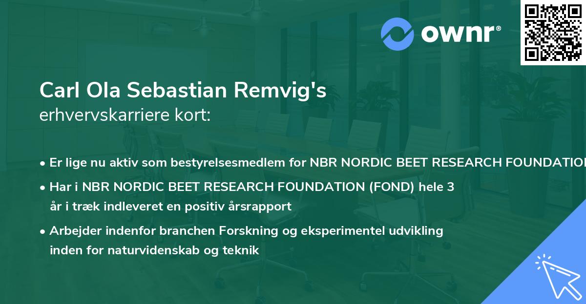 Carl Ola Sebastian Remvig's erhvervskarriere kort