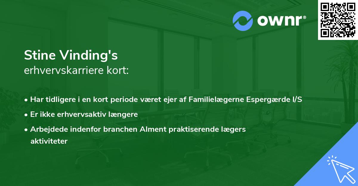 Stine Vinding's erhvervskarriere kort