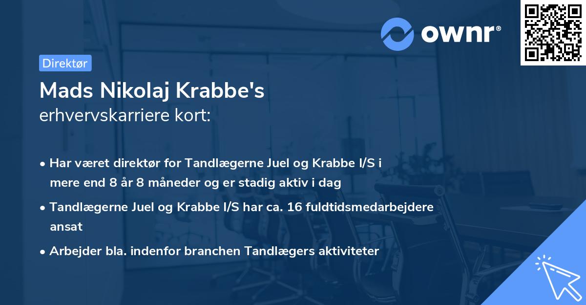 Mads Nikolaj Krabbe's erhvervskarriere kort