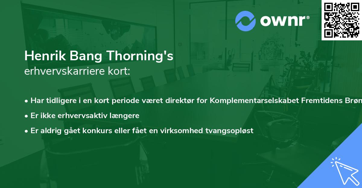 Henrik Bang Thorning's erhvervskarriere kort