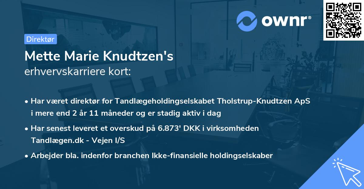 Mette Marie Knudtzen's erhvervskarriere kort