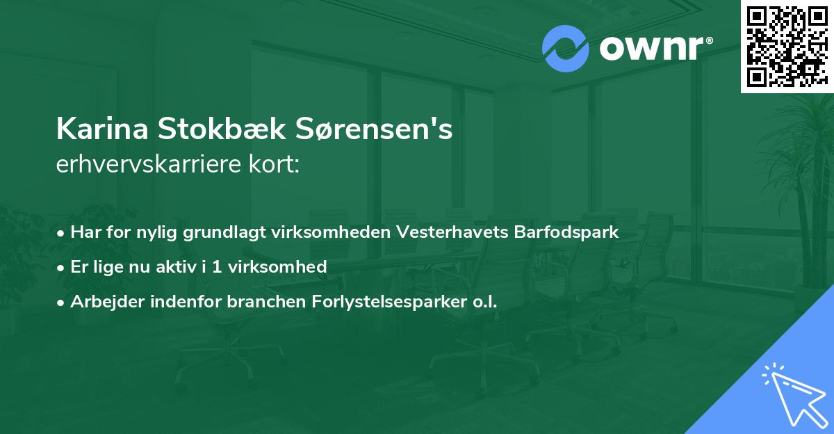Karina Stokbæk Sørensen's erhvervskarriere kort