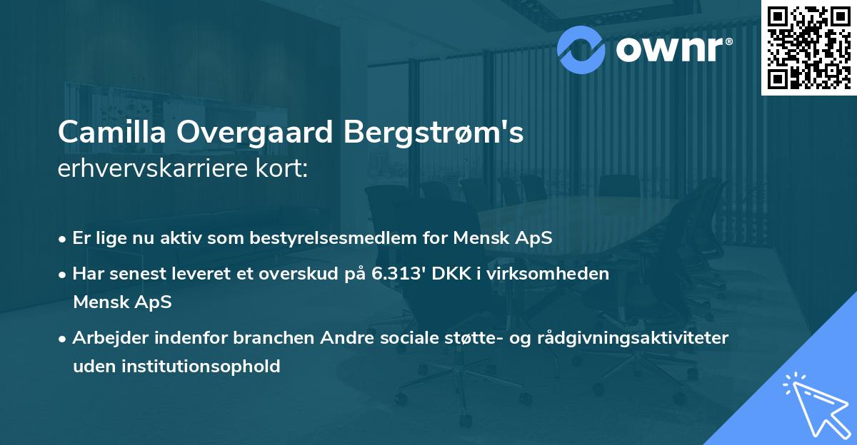 Camilla Overgaard Bergstrøm's erhvervskarriere kort