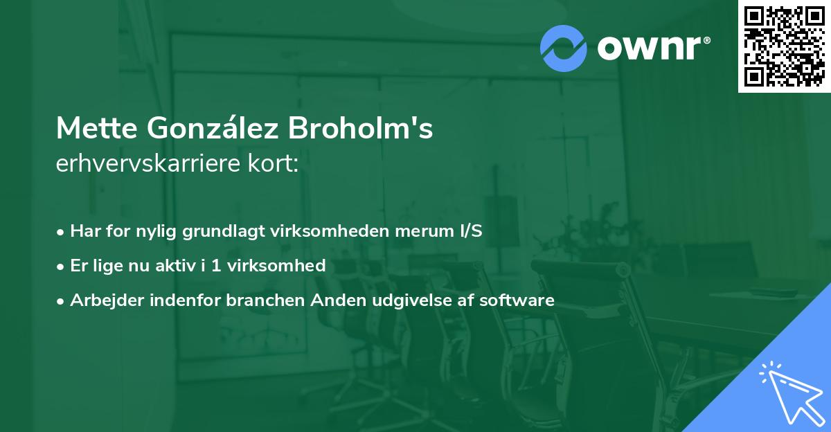 Mette González Broholm's erhvervskarriere kort