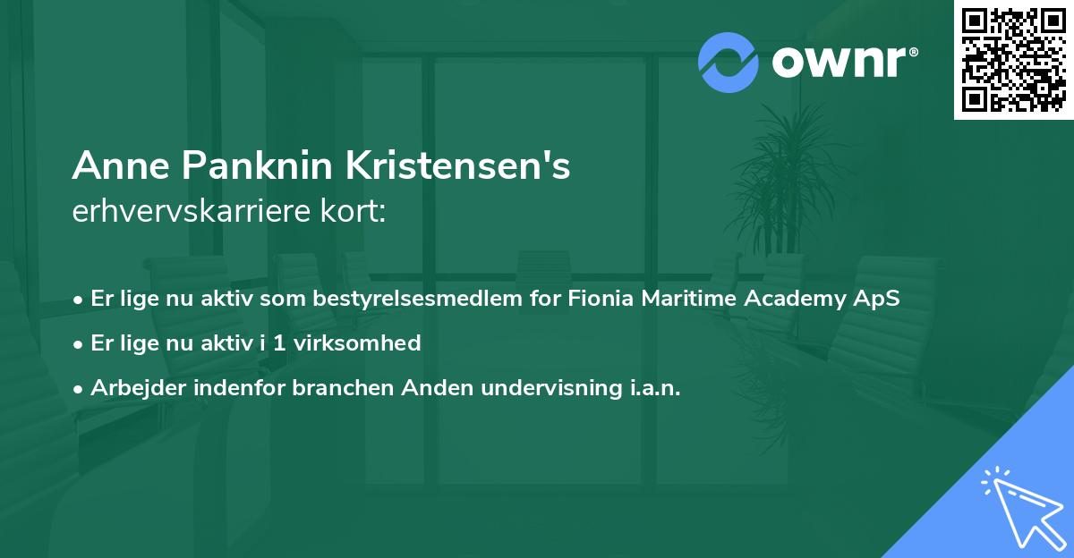 Anne Panknin Kristensen's erhvervskarriere kort