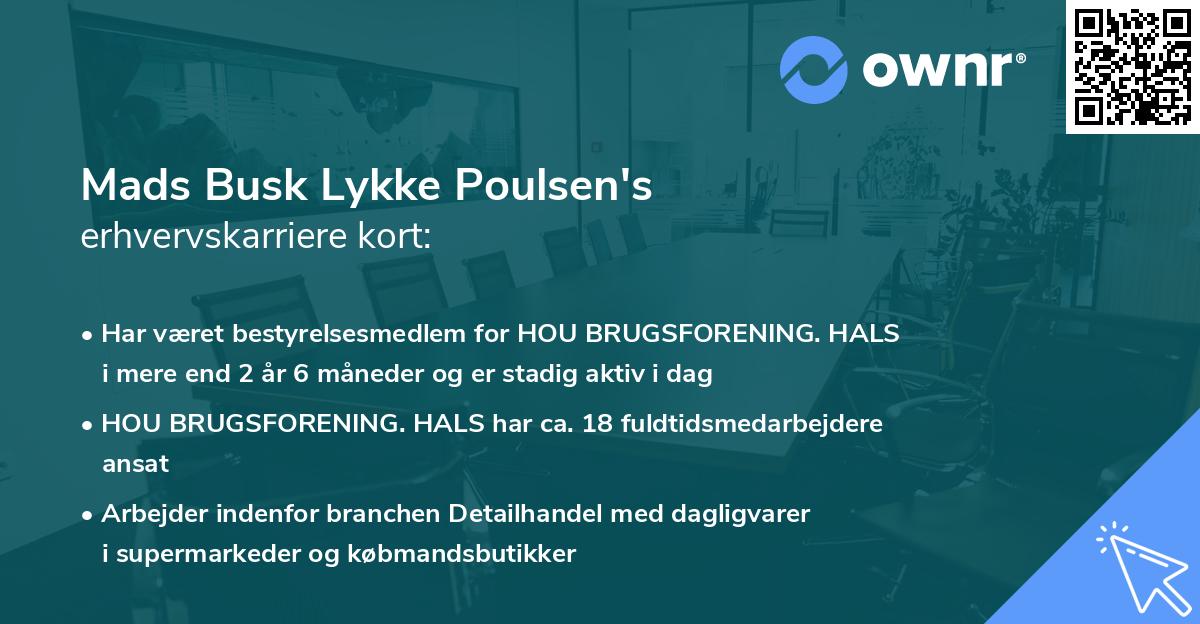 Mads Busk Lykke Poulsen's erhvervskarriere kort