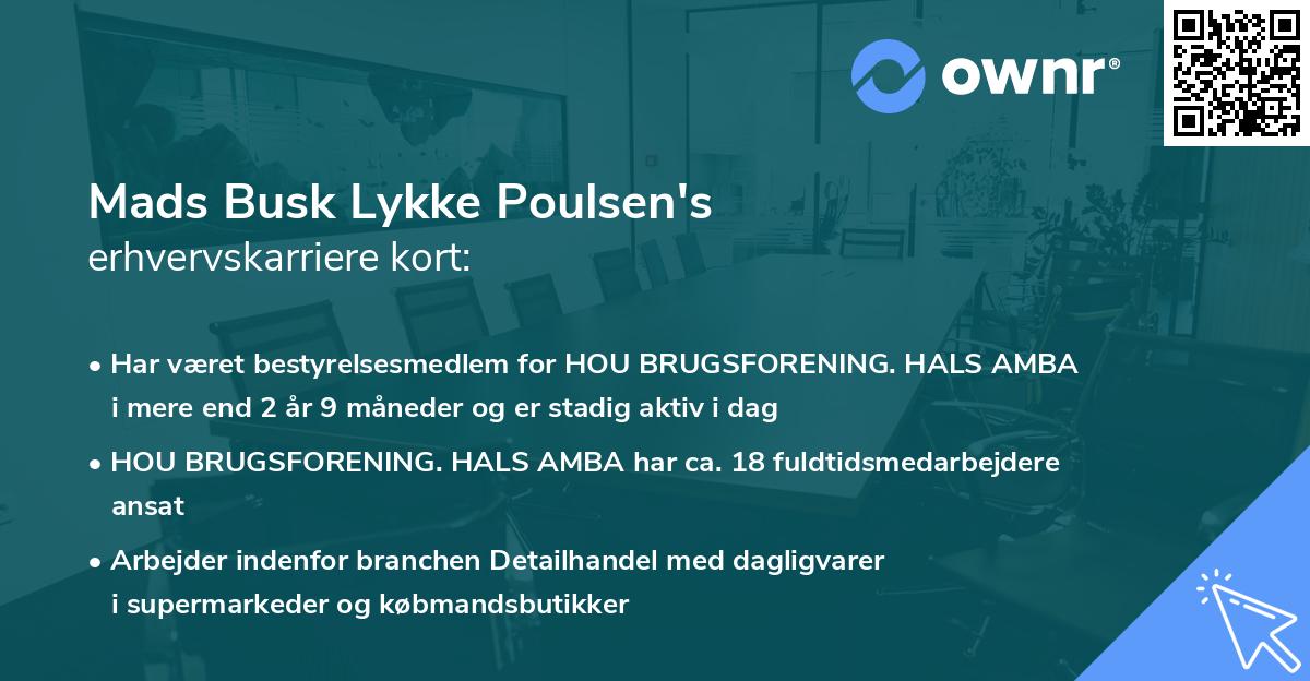 Mads Busk Lykke Poulsen's erhvervskarriere kort