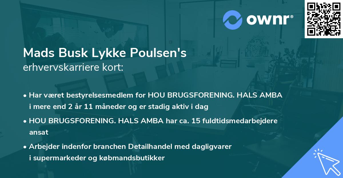 Mads Busk Lykke Poulsen's erhvervskarriere kort