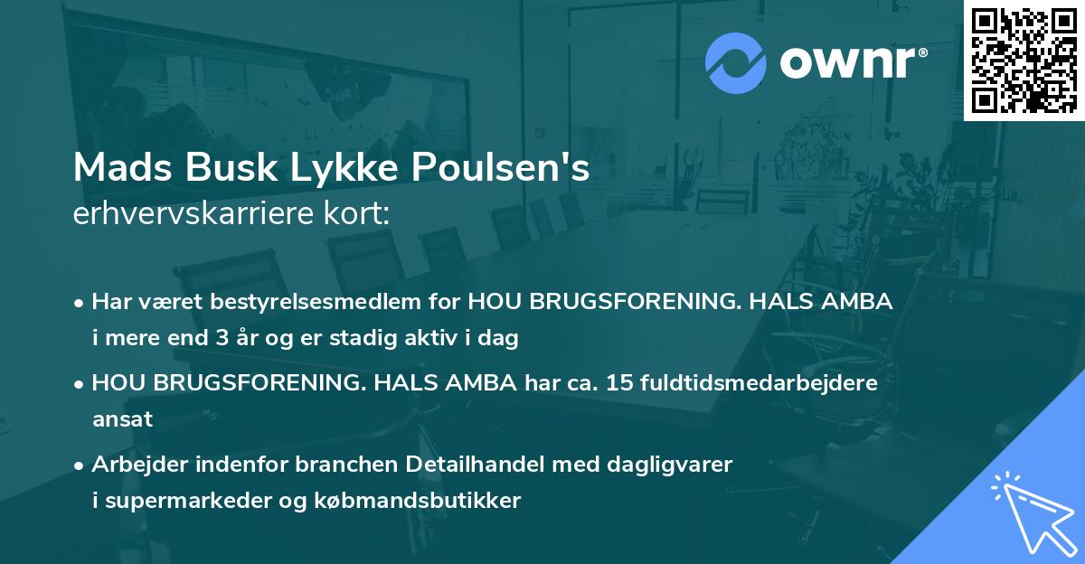 Mads Busk Lykke Poulsen's erhvervskarriere kort