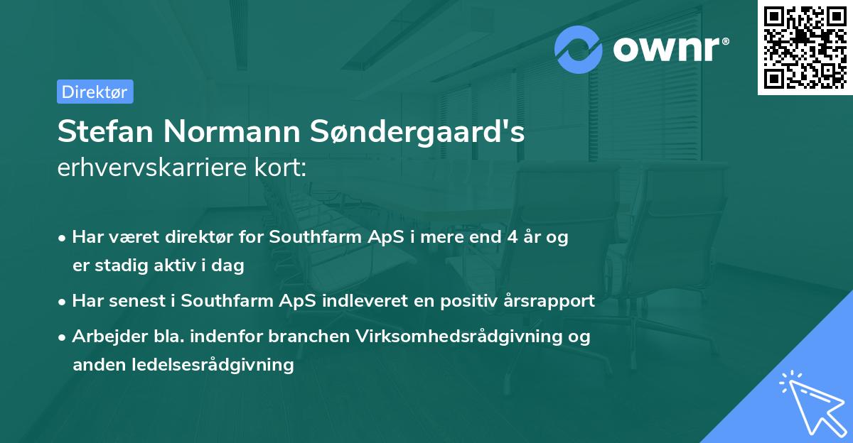 Stefan Normann Søndergaard's erhvervskarriere kort