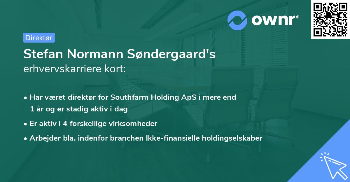 Stefan Normann Søndergaard's erhvervskarriere kort
