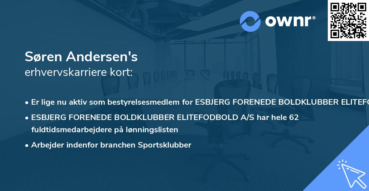 Søren Andersen's erhvervskarriere kort