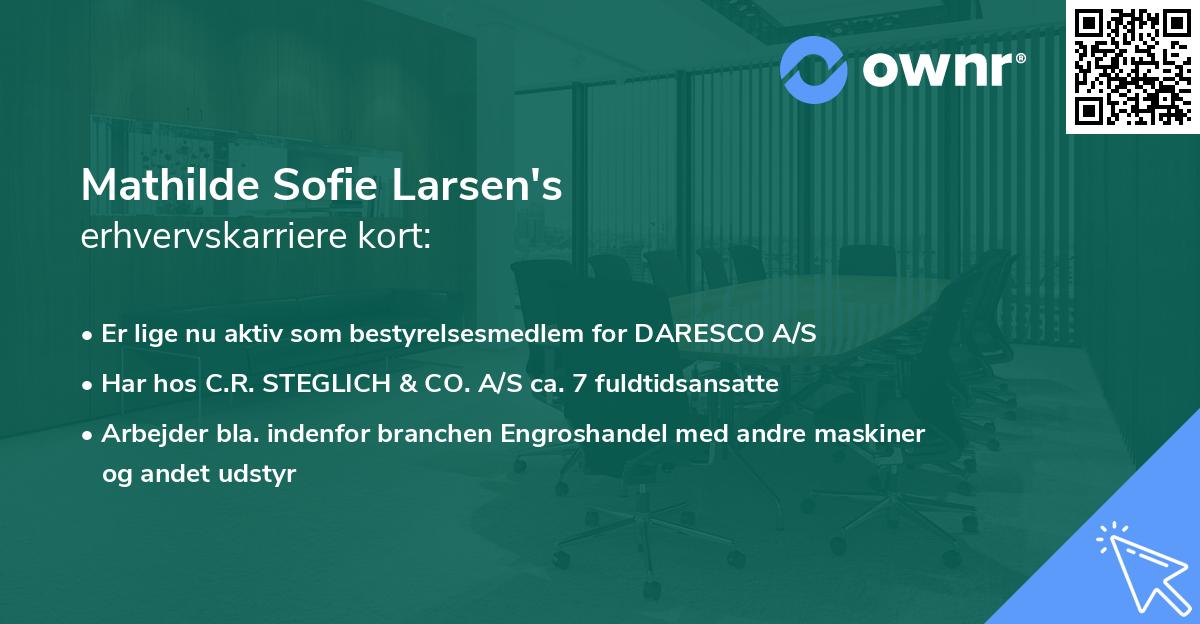 Mathilde Sofie Larsen's erhvervskarriere kort