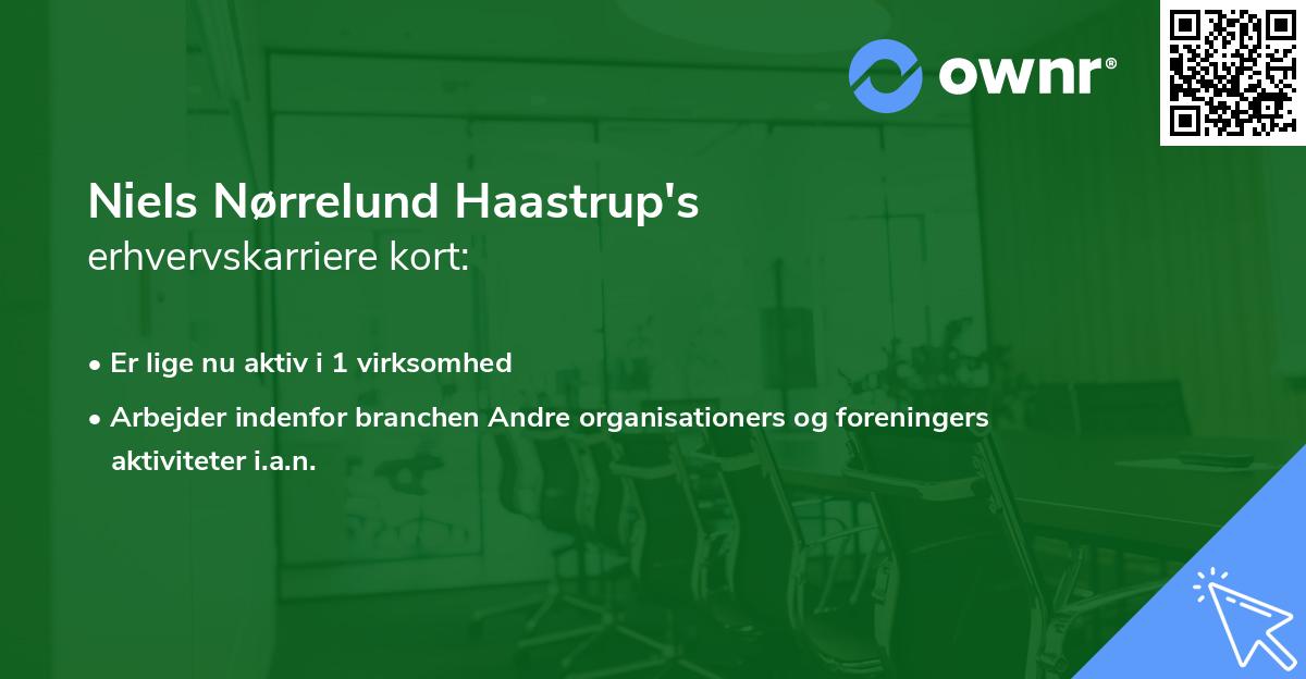 Niels Nørrelund Haastrup's erhvervskarriere kort