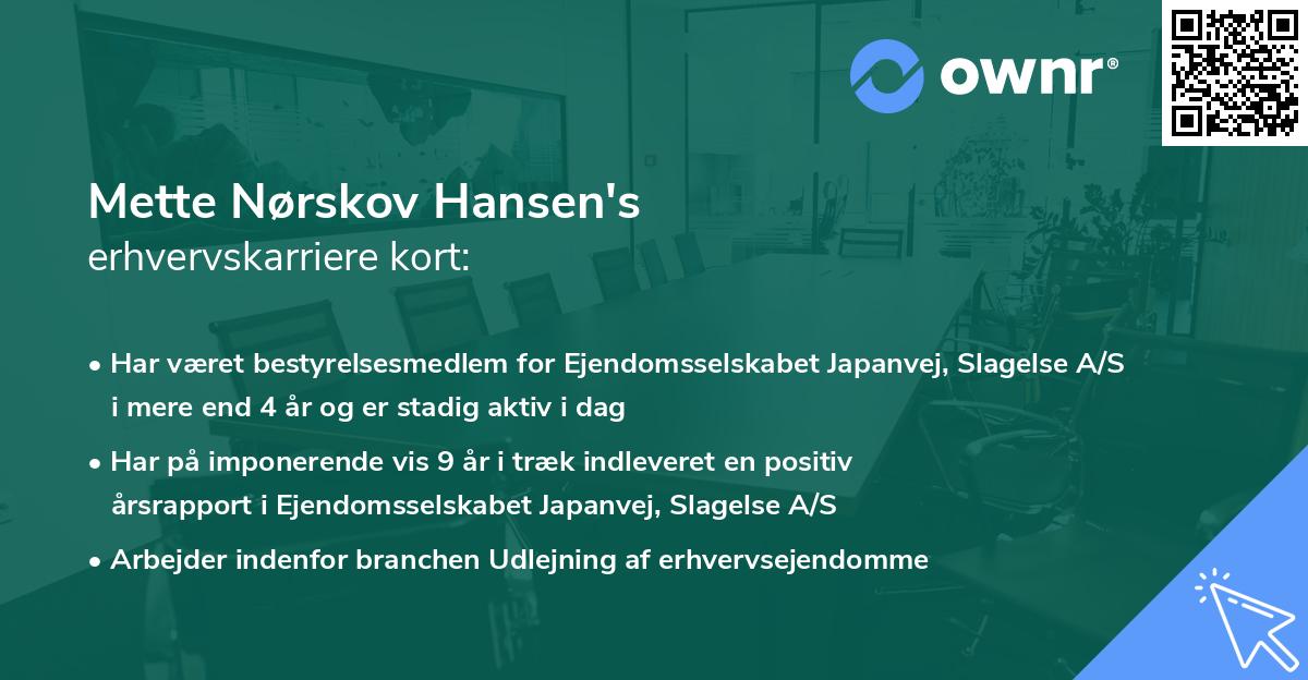 Mette Nørskov Hansen's erhvervskarriere kort