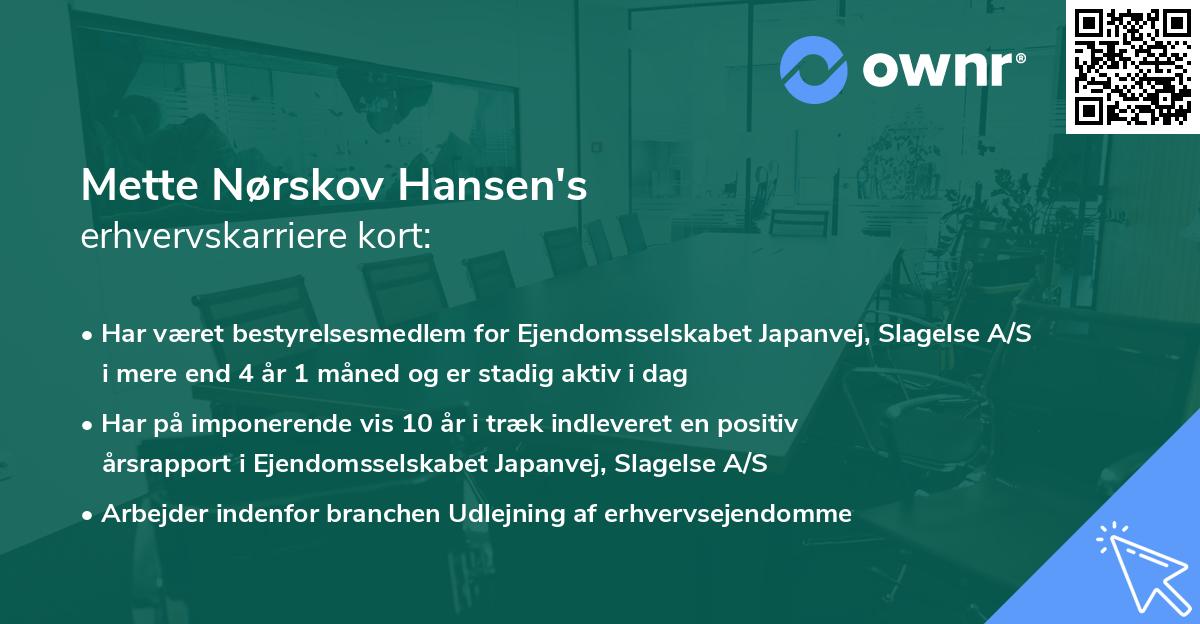 Mette Nørskov Hansen's erhvervskarriere kort