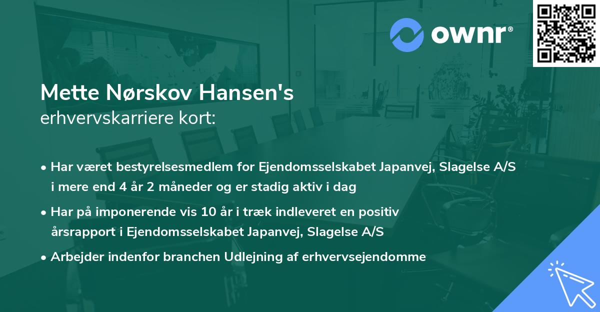 Mette Nørskov Hansen's erhvervskarriere kort
