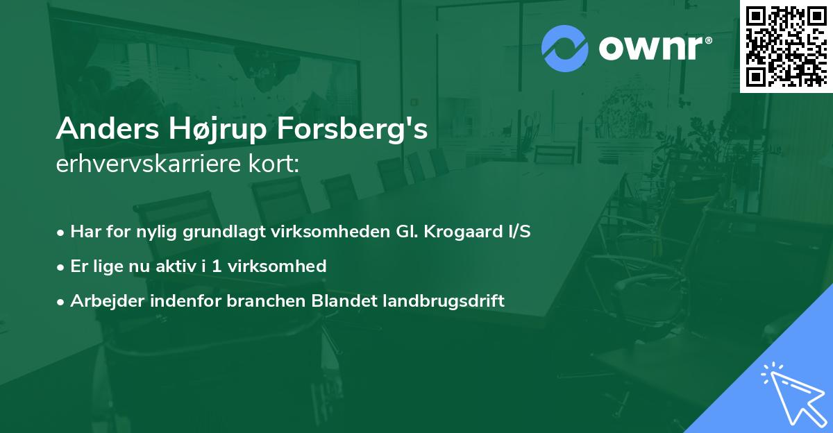 Anders Højrup Forsberg's erhvervskarriere kort