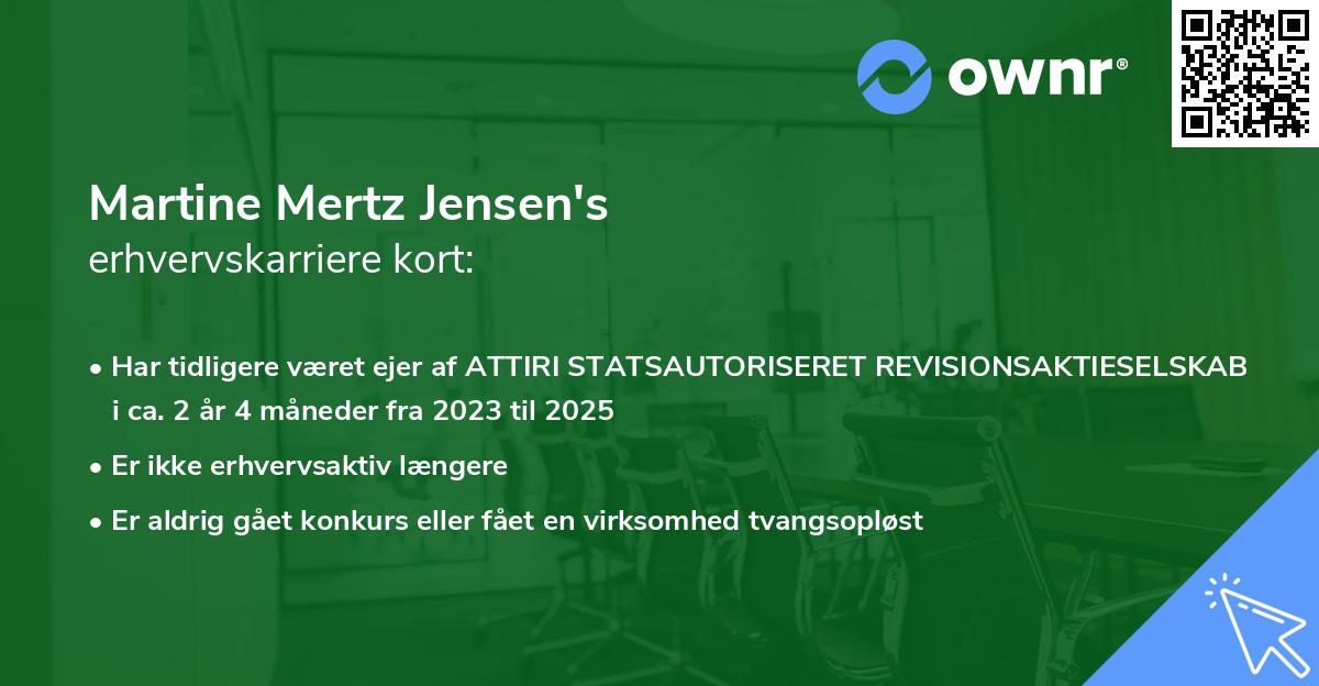 Martine Mertz Jensen's erhvervskarriere kort