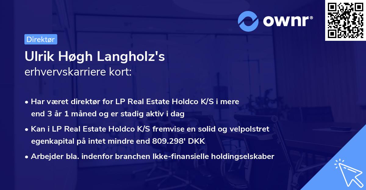 Ulrik Høgh Langholz's erhvervskarriere kort
