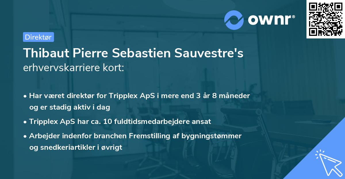 Thibaut Pierre Sebastien Sauvestre's erhvervskarriere kort