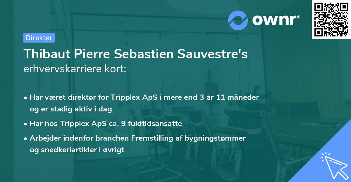 Thibaut Pierre Sebastien Sauvestre's erhvervskarriere kort