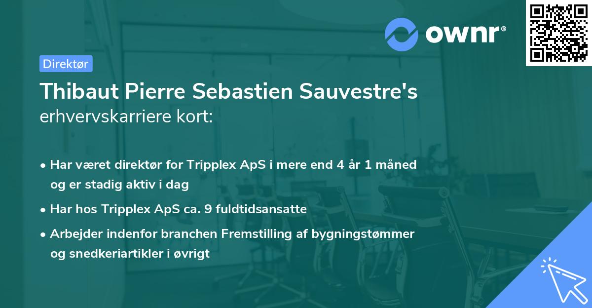 Thibaut Pierre Sebastien Sauvestre's erhvervskarriere kort
