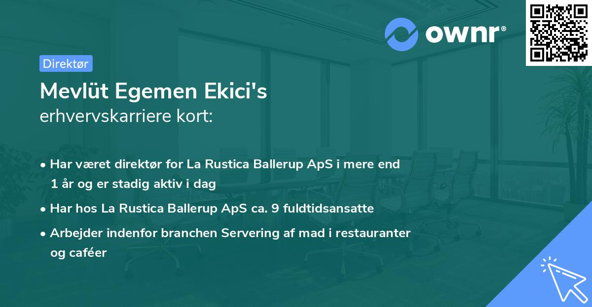 Mevlüt Egemen Ekici's erhvervskarriere kort