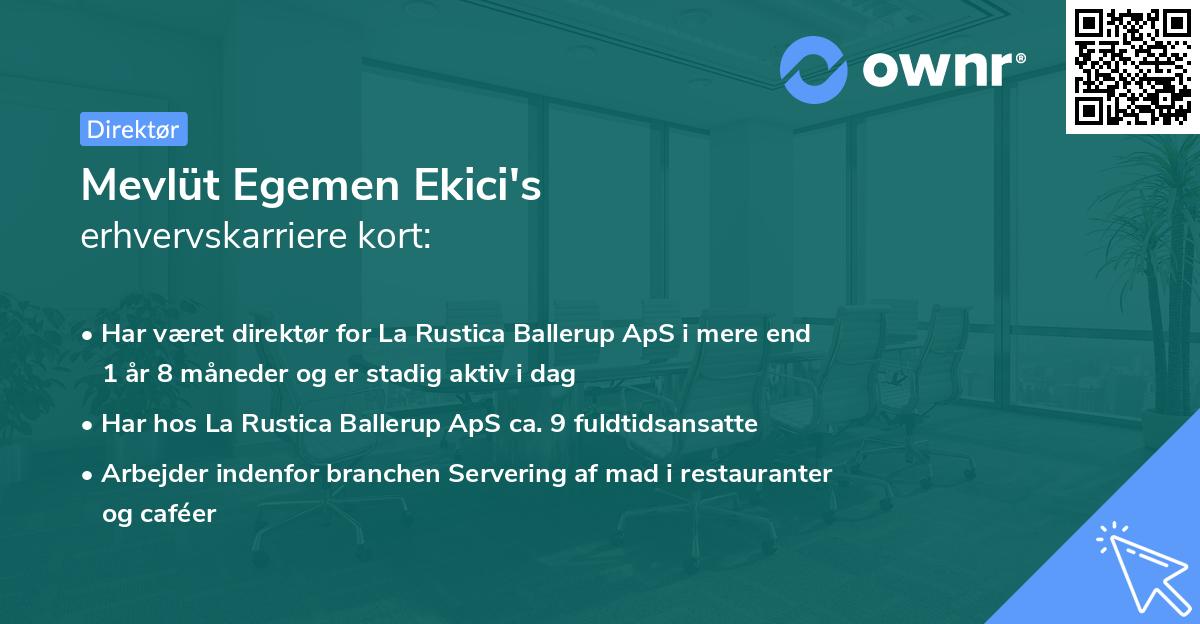 Mevlüt Egemen Ekici's erhvervskarriere kort
