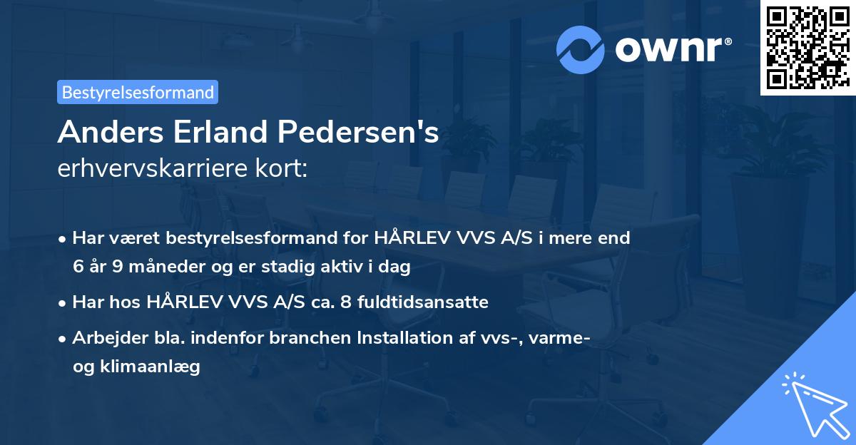 Anders Erland Pedersen's erhvervskarriere kort