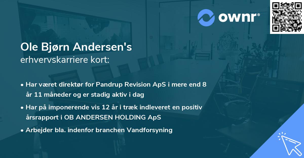 Ole Bjørn Andersen's erhvervskarriere kort