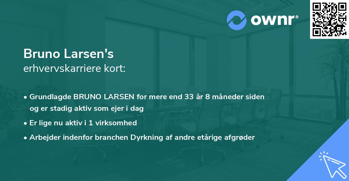 Bruno Larsen's erhvervskarriere kort
