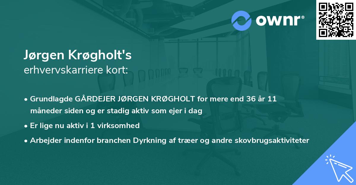 Jørgen Krøgholt's erhvervskarriere kort