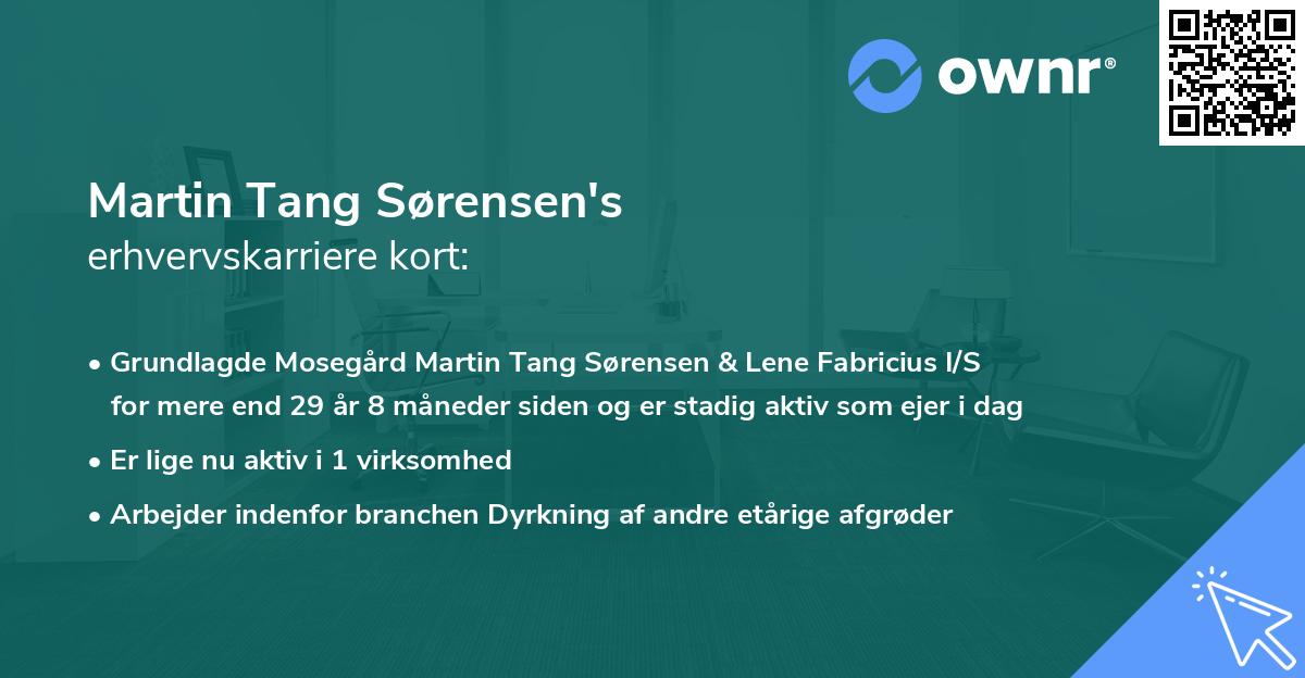 Martin Tang Sørensen's erhvervskarriere kort