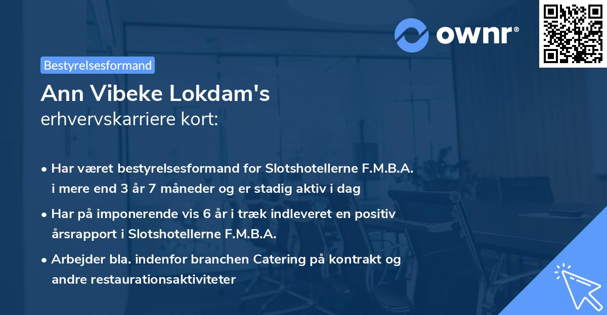 Ann Vibeke Lokdam's erhvervskarriere kort