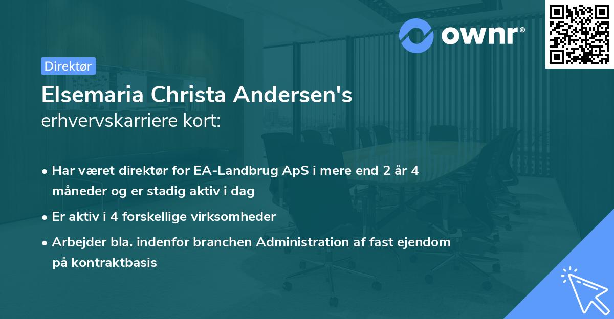 Elsemaria Christa Andersen's erhvervskarriere kort