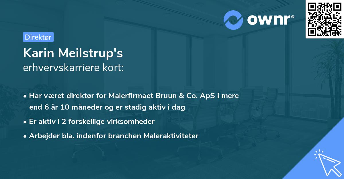Karin Meilstrup's erhvervskarriere kort