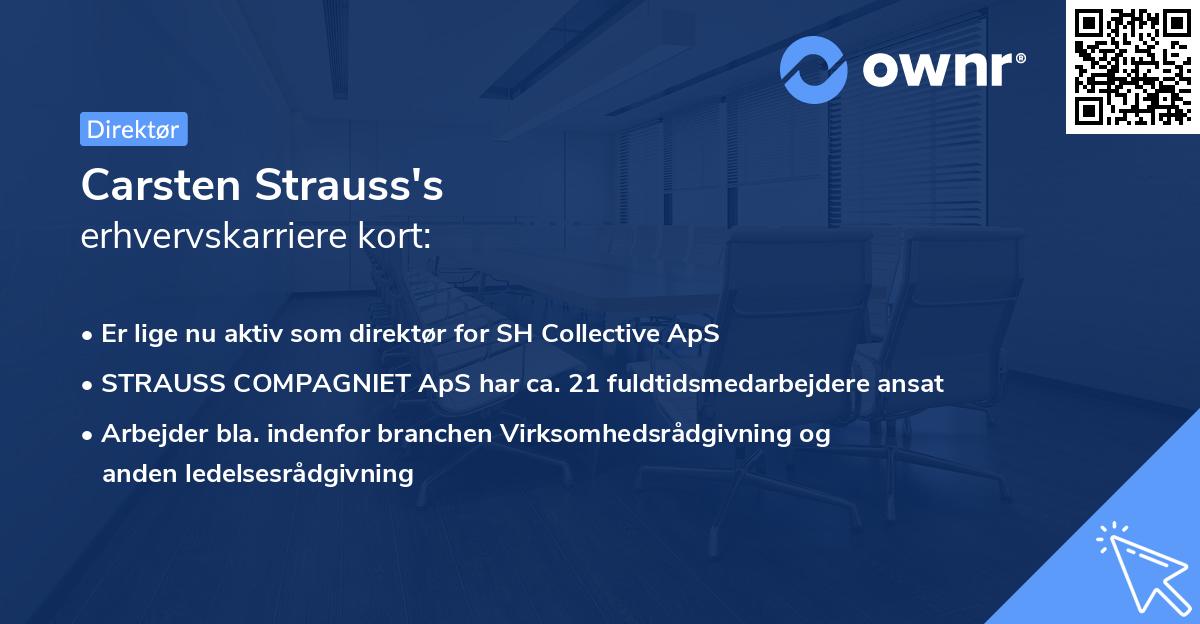 Carsten Strauss's erhvervskarriere kort