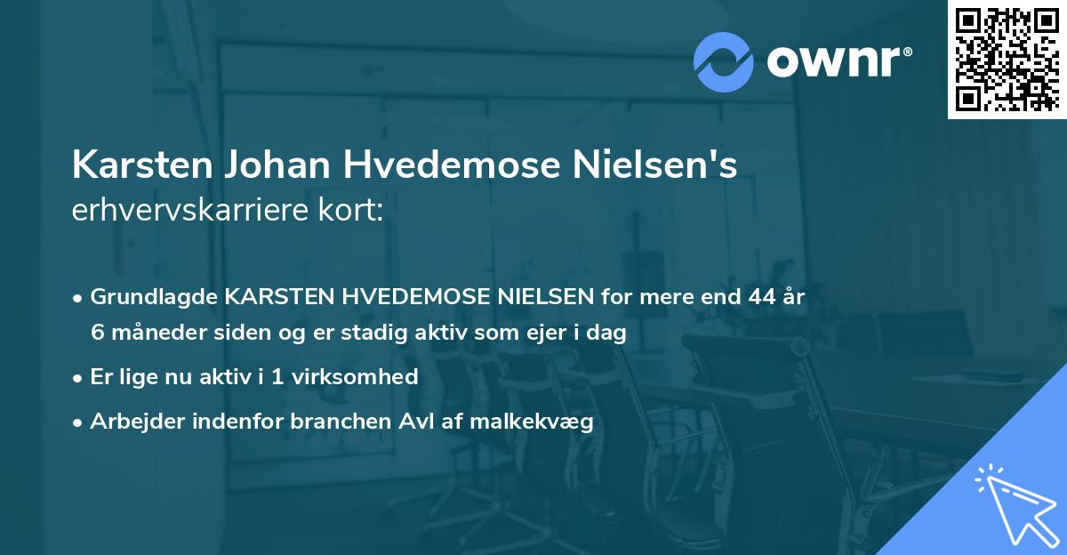 Karsten Johan Hvedemose Nielsen's erhvervskarriere kort