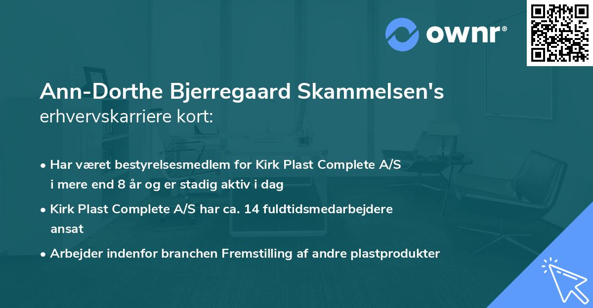 Ann-Dorthe Bjerregaard Skammelsen's erhvervskarriere kort