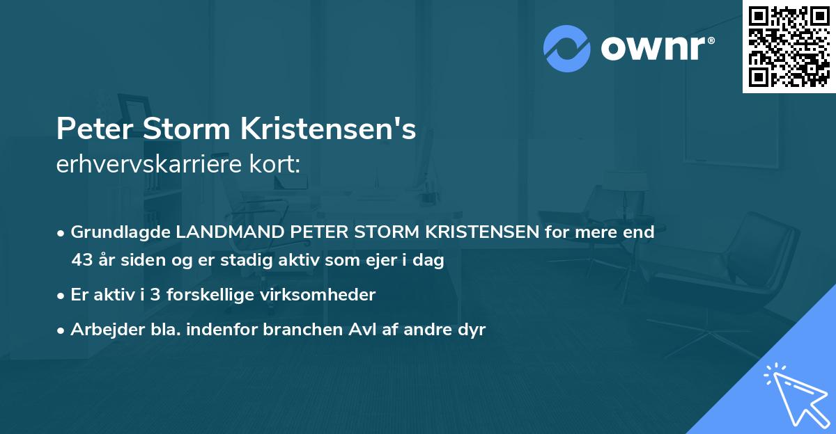 Peter Storm Kristensen's erhvervskarriere kort