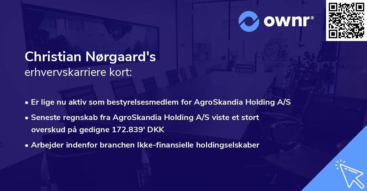 Christian Nørgaard's erhvervskarriere kort