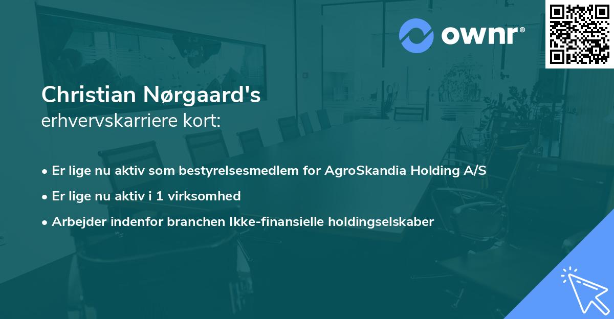 Christian Nørgaard's erhvervskarriere kort
