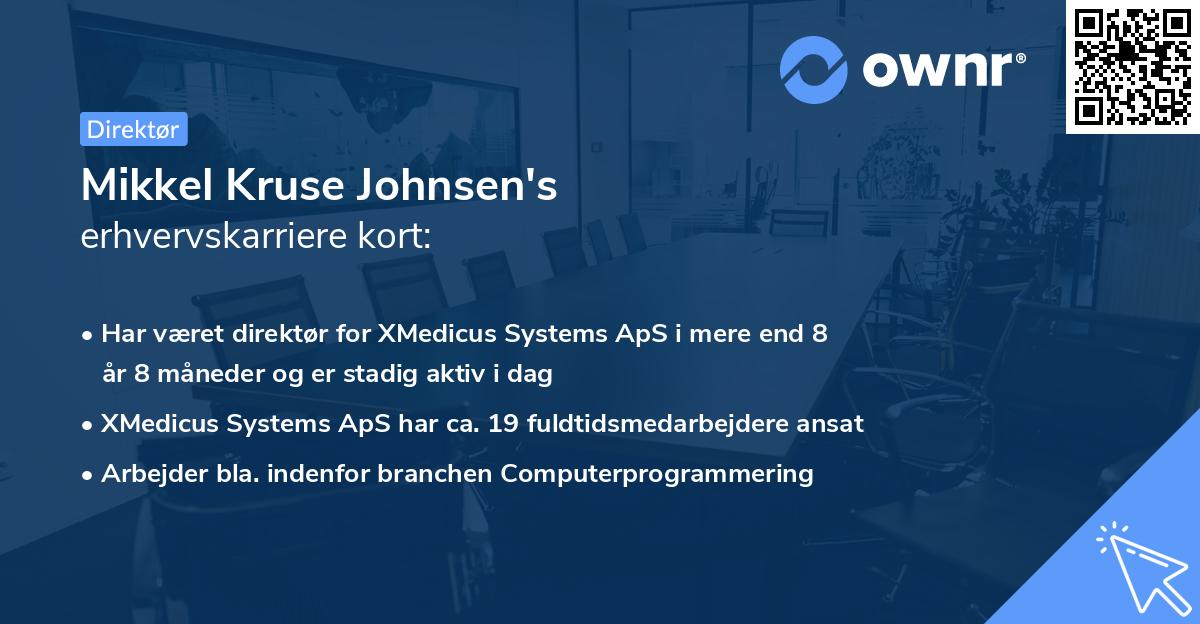 Mikkel Kruse Johnsen's erhvervskarriere kort