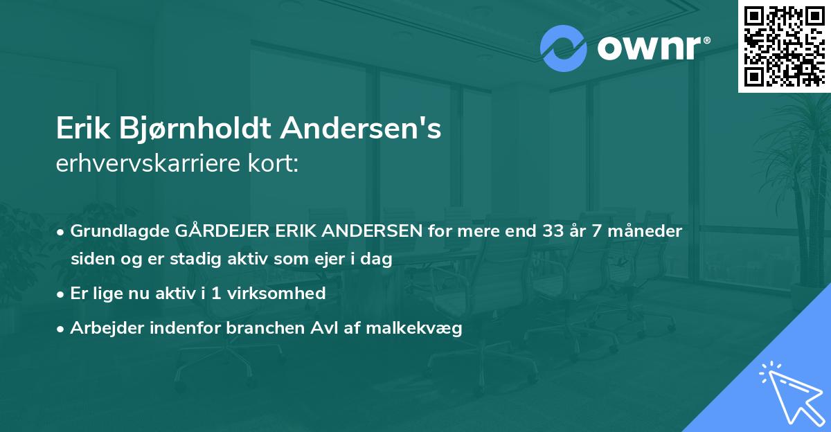 Erik Bjørnholdt Andersen's erhvervskarriere kort