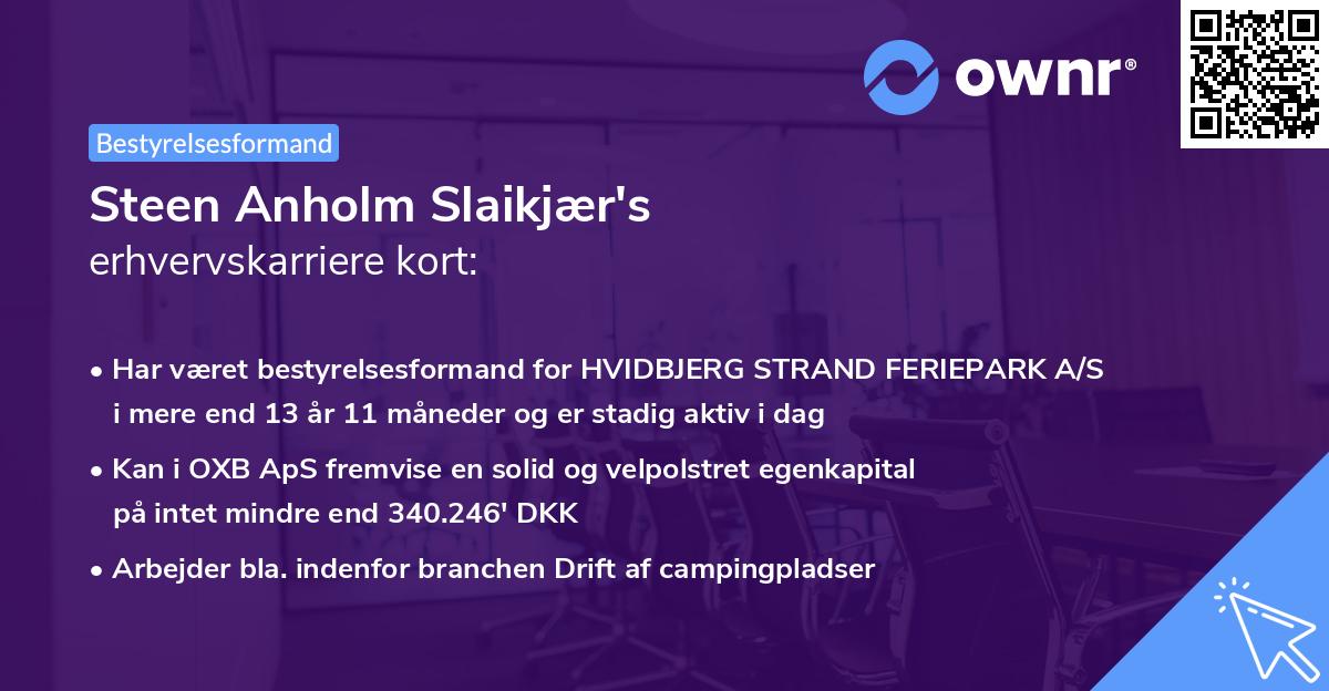 Steen Anholm Slaikjær's erhvervskarriere kort