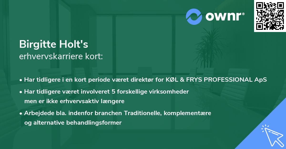 Birgitte Holt's erhvervskarriere kort