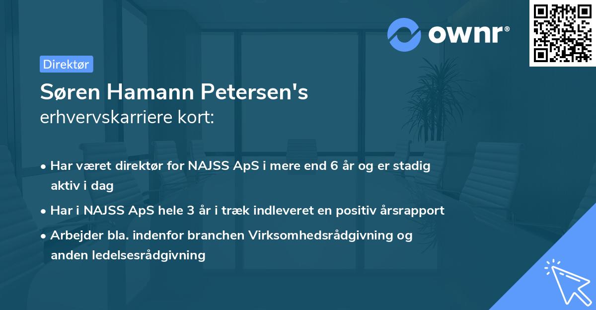 Søren Hamann Petersen's erhvervskarriere kort