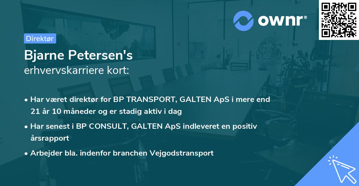 Bjarne Petersen's erhvervskarriere kort