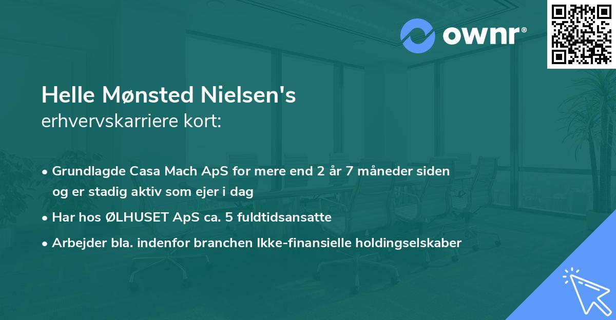 Helle Mønsted Nielsen's erhvervskarriere kort